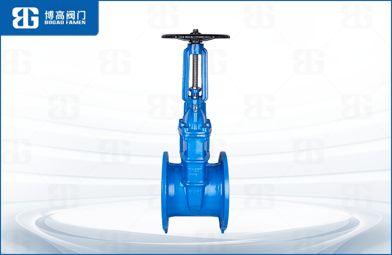 明(ming)杆彈性(xìng)座封閘(zhá)閥