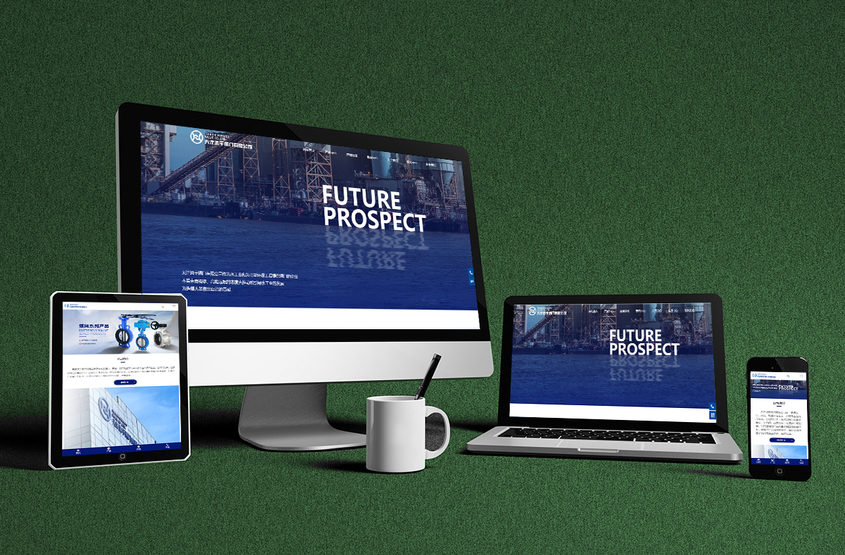 熱(rè)烈慶賀(he)南京博(bó)高閥門(mén)有限公(gōng)司網站(zhan)正式開(kāi)通