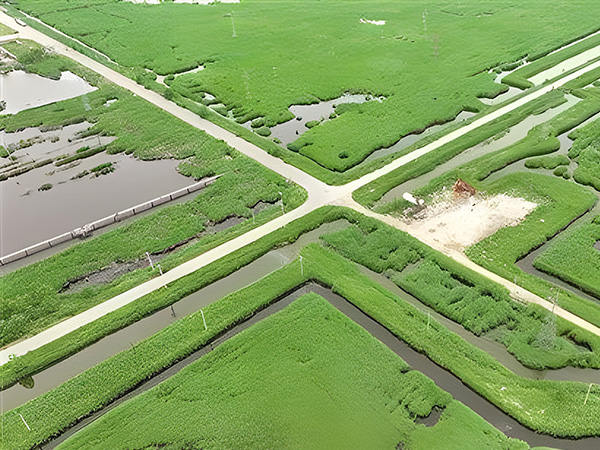 打(dǎ)造綠色低碳(tàn)油田 做綠色(se)發展的“頂梁(liang)柱”